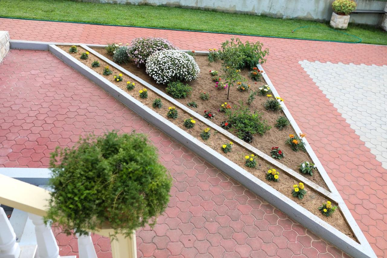 Apartmani Bruno بيبينيا المظهر الخارجي الصورة